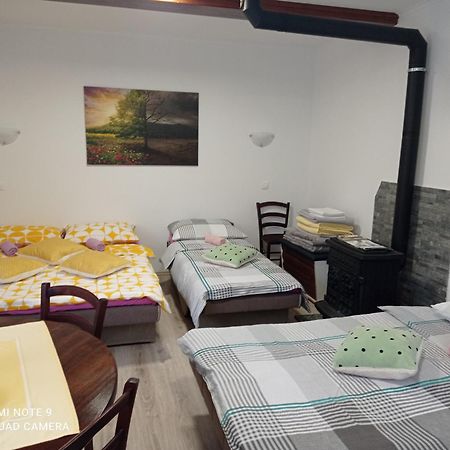 Studio Apartman Sonja Otočac Exterior foto
